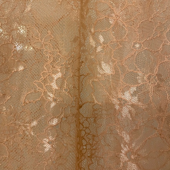 NWOT Rêve Riche Victoriana Lace Bodysuit Peach sz 34 - Picture 7 of 9